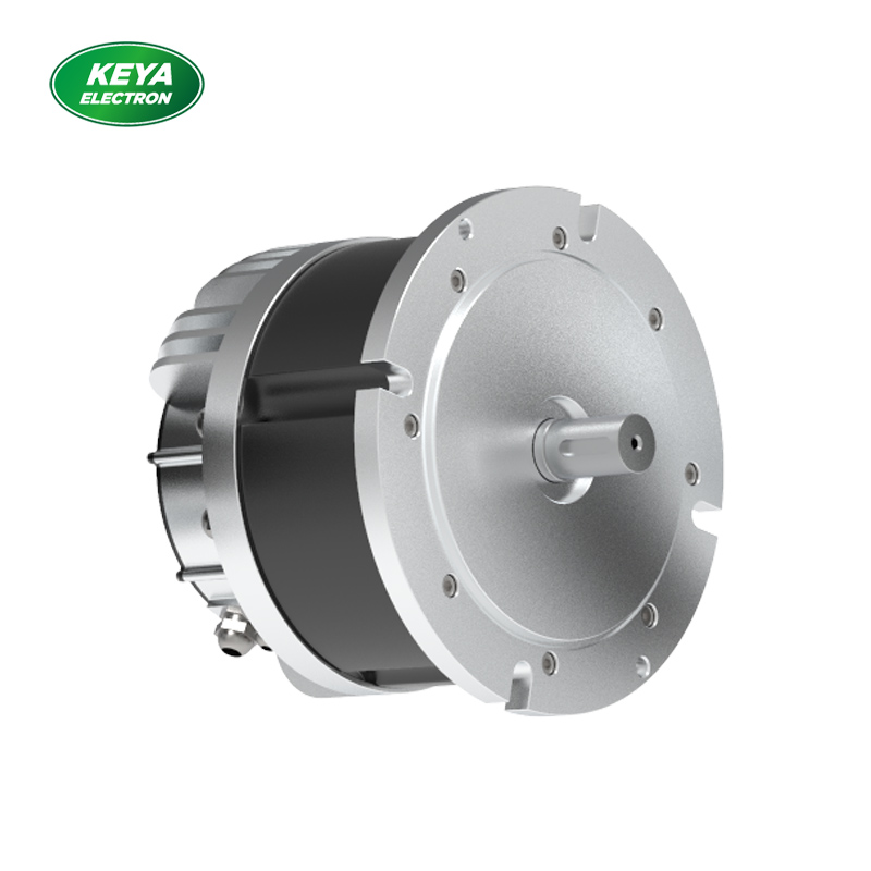 清远江南电子·（中国）官方网站215系列48V 4000W 1500RPM